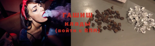 PSILOCYBIN Белокуриха