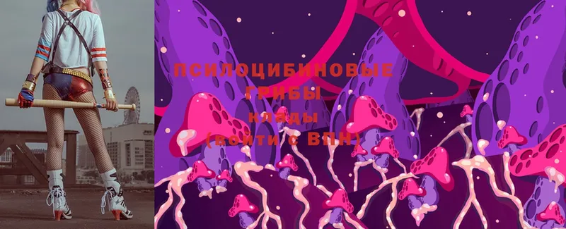 Галлюциногенные грибы MAGIC MUSHROOMS  Бологое 